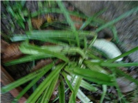 357e51c9-Picture 523.jpg